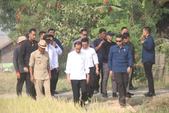 Bupati Subang Dampingi Presiden Ri Memanen Padi Di Desa Ciasem