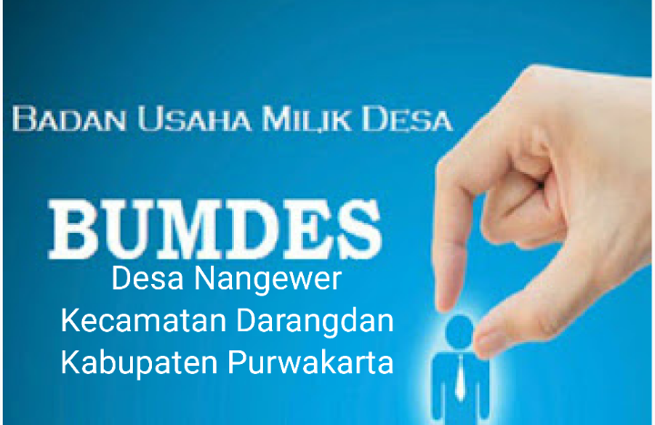 Bumdes Nangewer Kecamatan Darangdan Purwakarta Dari Dana Desa Total 255 Juta,di Pakai Usaha Tabung Gas Dan Jualan Basreng