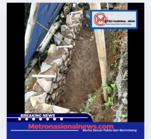 Screenshot_20241220_154126