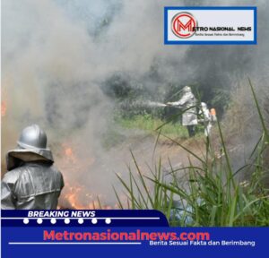 Screenshot_20241223_192635