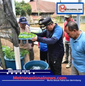 Screenshot_20250111_104946