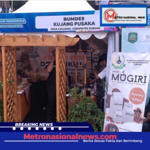 Screenshot_20250114_232802