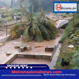 Screenshot_20250216_212940