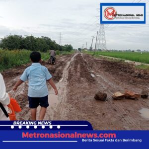 Screenshot_20250310_113915