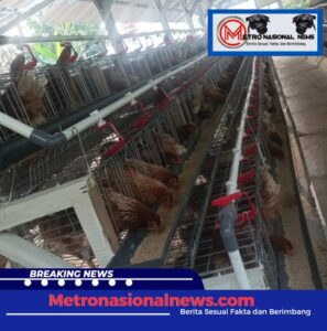 Screenshot_20250422_112144