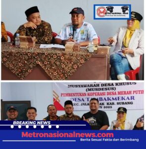 Screenshot_20250510_204113