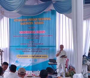 Screenshot_20251015_183952