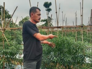 IMG-20251130-WA00021-768x576